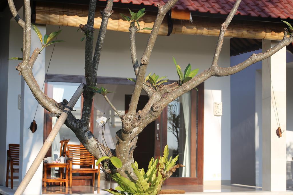 Soka Amed Beach Room photo